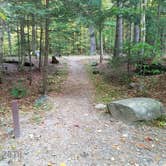 Review photo of White Mountain National Forest Wildwood Campground by Jean C., October 15, 2018