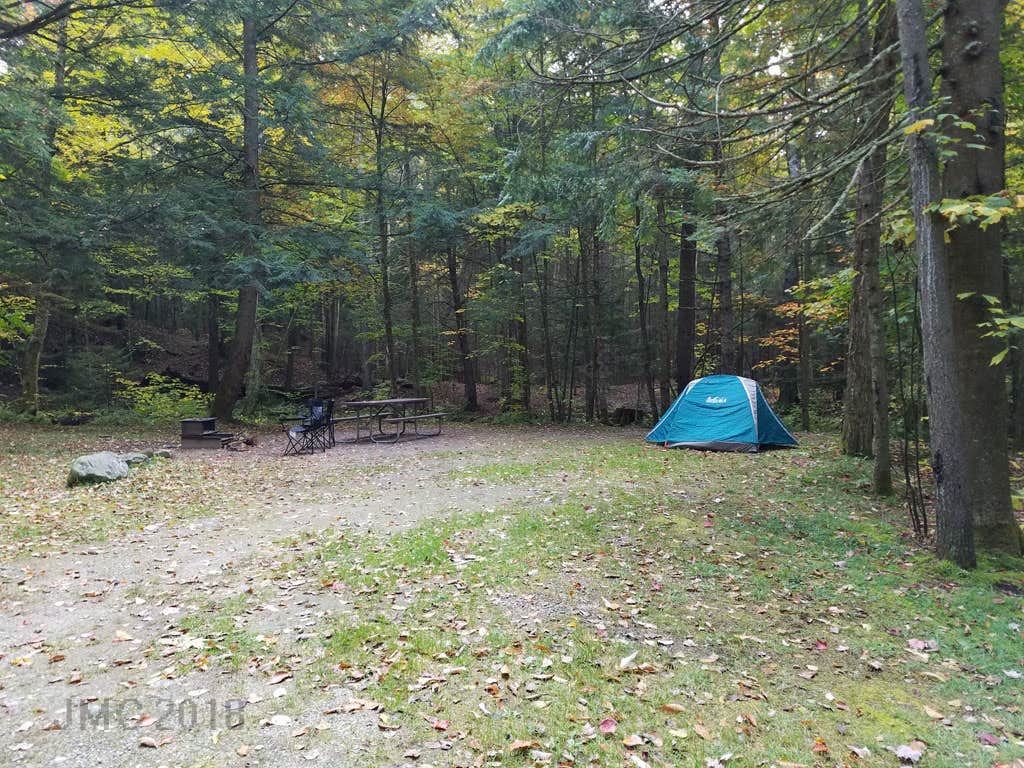 Wildwood Camping The Dyrt