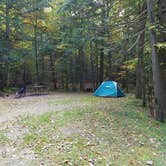 Review photo of White Mountain National Forest Wildwood Campground by Jean C., October 15, 2018