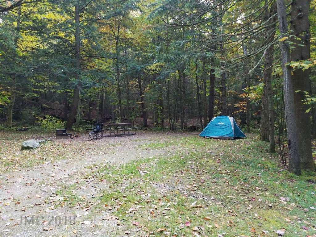 Camper submitted image from White Mountain National Forest Wildwood Campground - 5