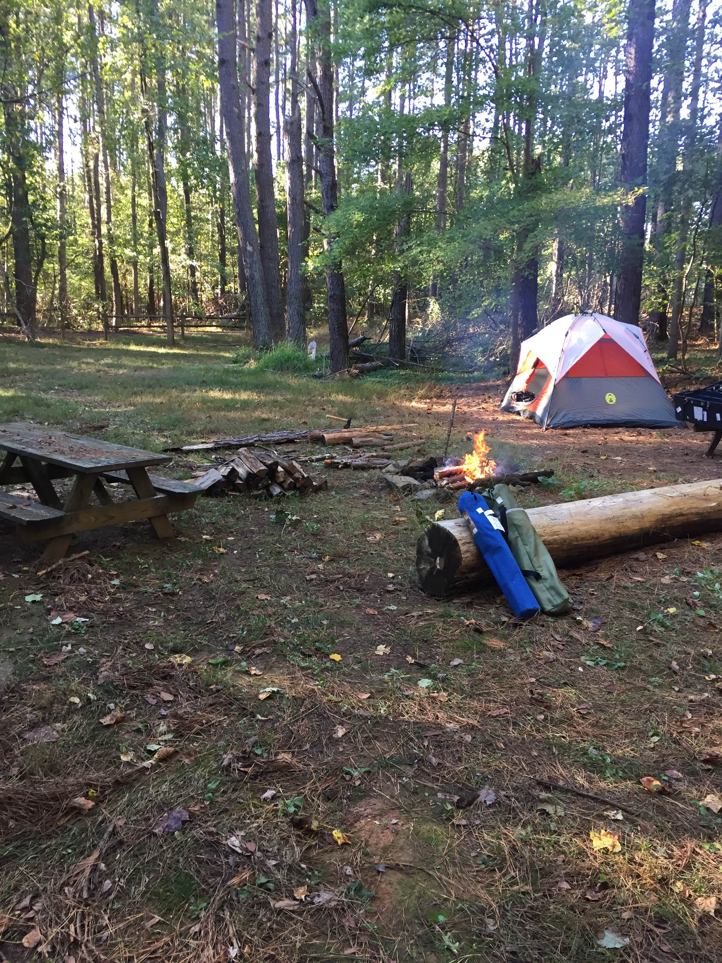 Matthew K.'s photo at Rappahannock River Campground near Stafford, VA