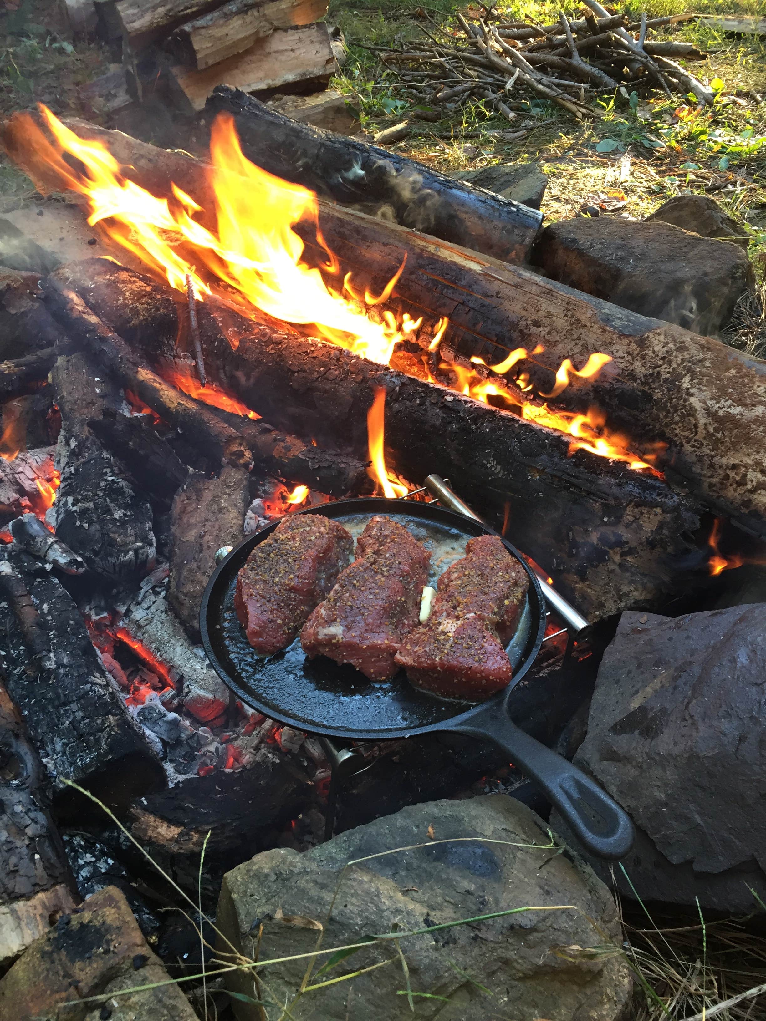 Camper submitted image from Rappahannock River Campground - 3