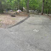 Review photo of Paris Mountain State Park Campground by Ron H., April 29, 2023