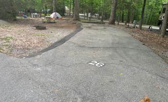 Ron H.'s photo of camping with pets at Paris Mountain State Park Campground near Pauline, SC
