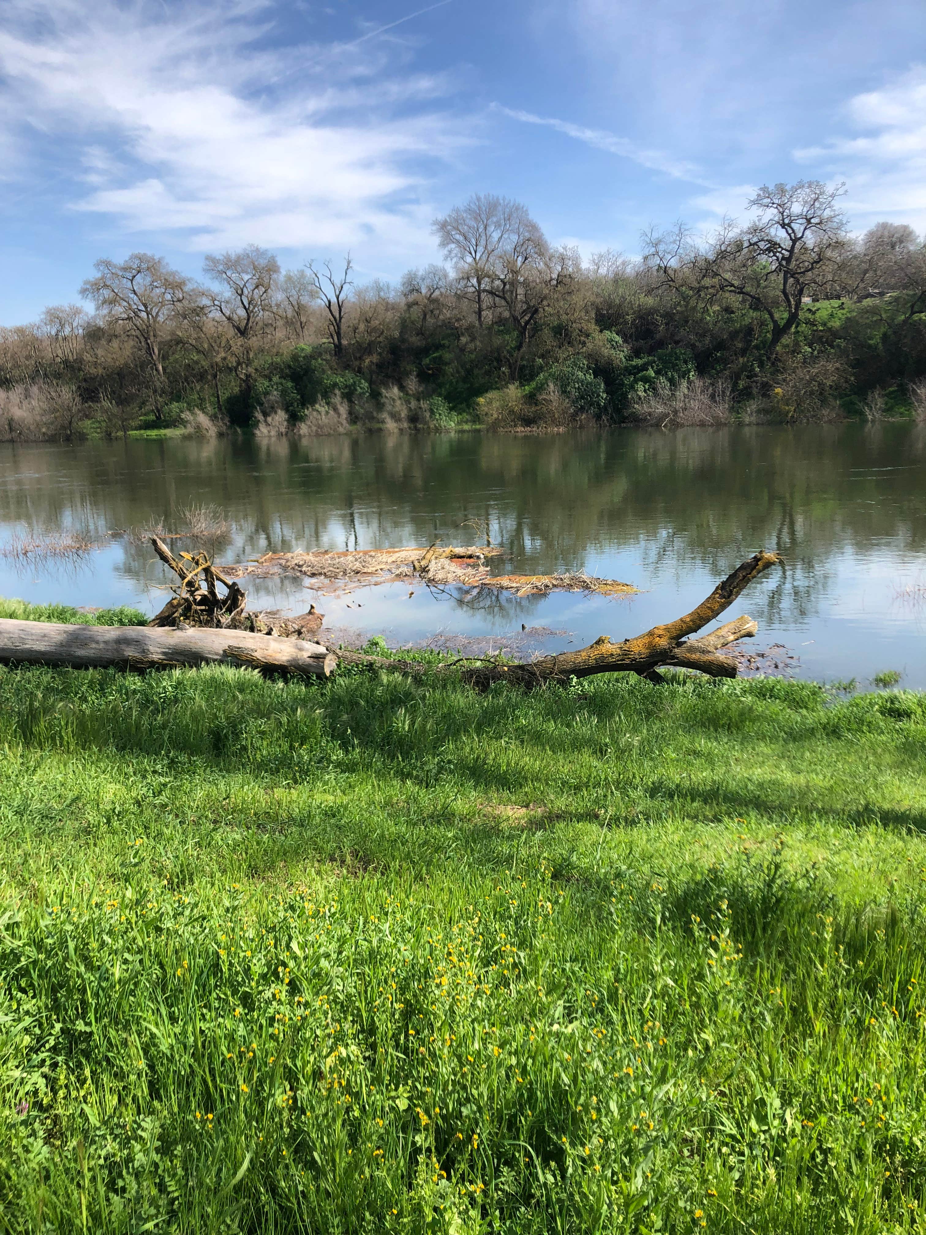 Camper-submitted photo at Cole Ranch near Atwater, CA