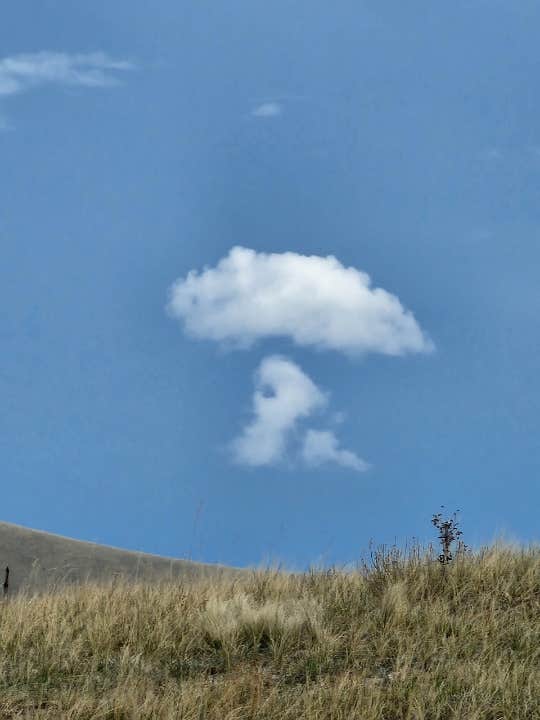 Camping near The Chicken Ranch: Golden Teacher Ranch, Costilla, Colorado