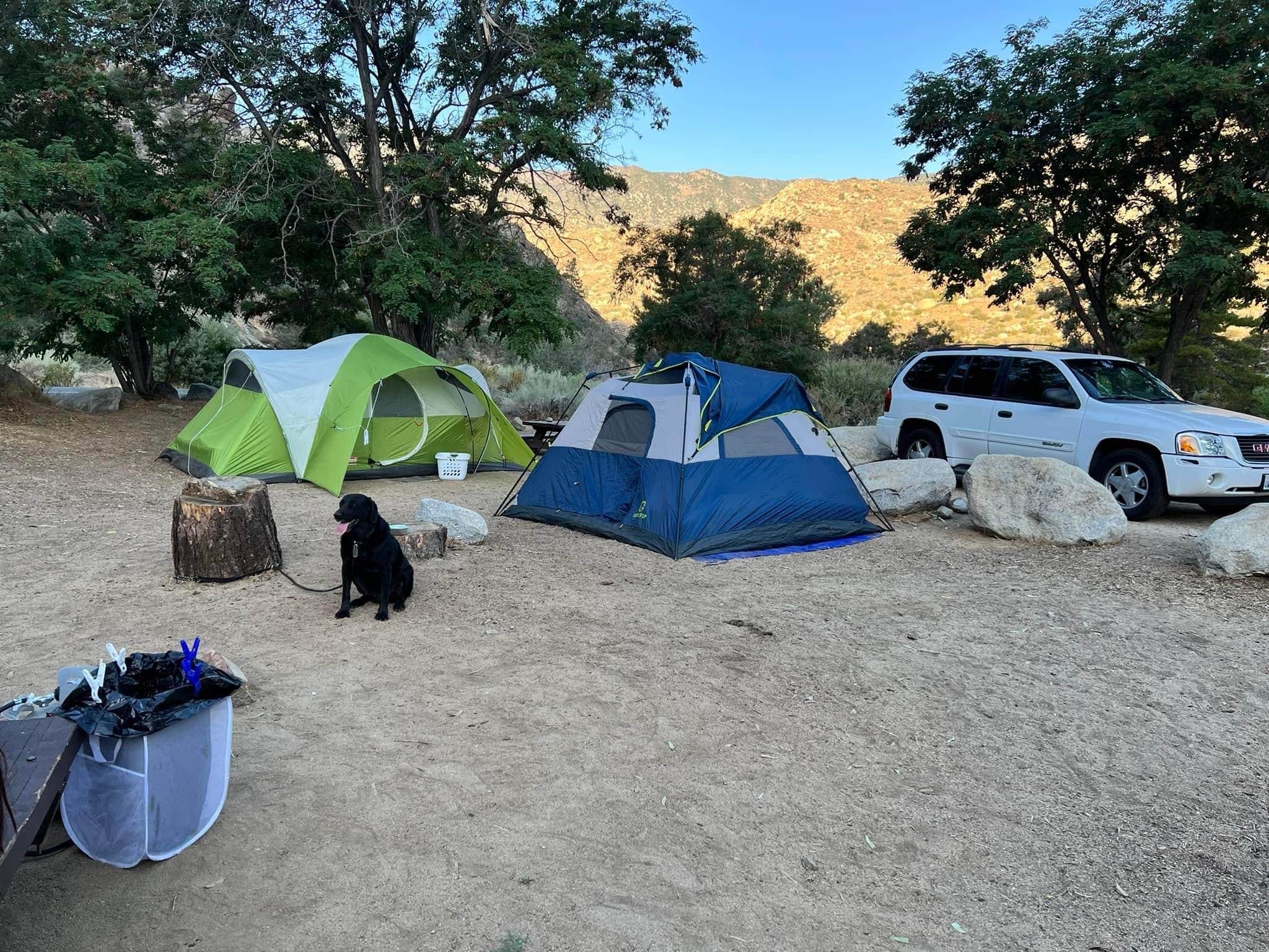 Haley M.'s photo of camping with pets at Hospital Flat near Posey, CA