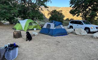 Haley M.'s photo of camping with pets at Hospital Flat near Posey, CA
