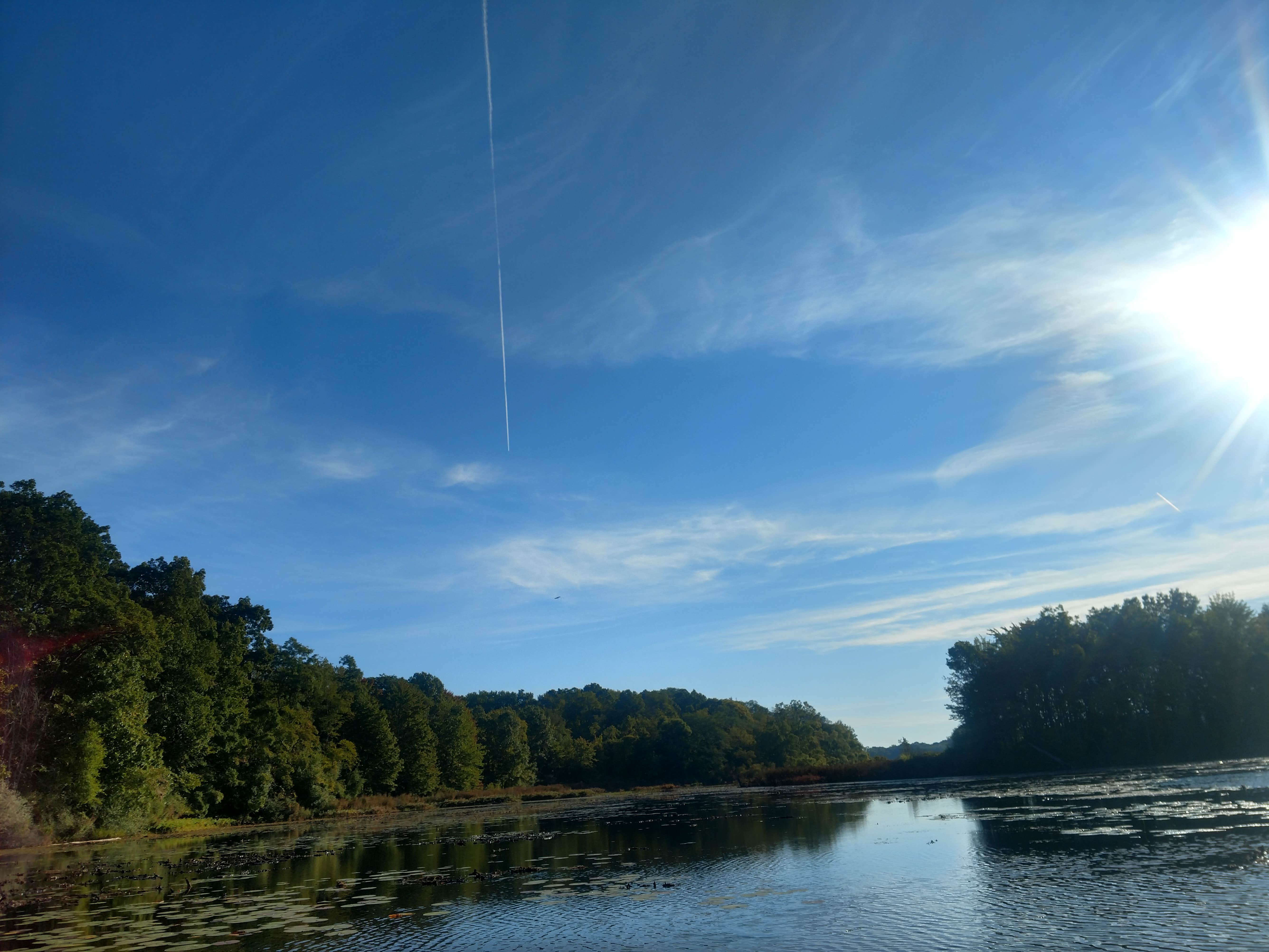 Camper submitted image from Waterloo Sugarloaf Modern — Waterloo Recreation Area - 4