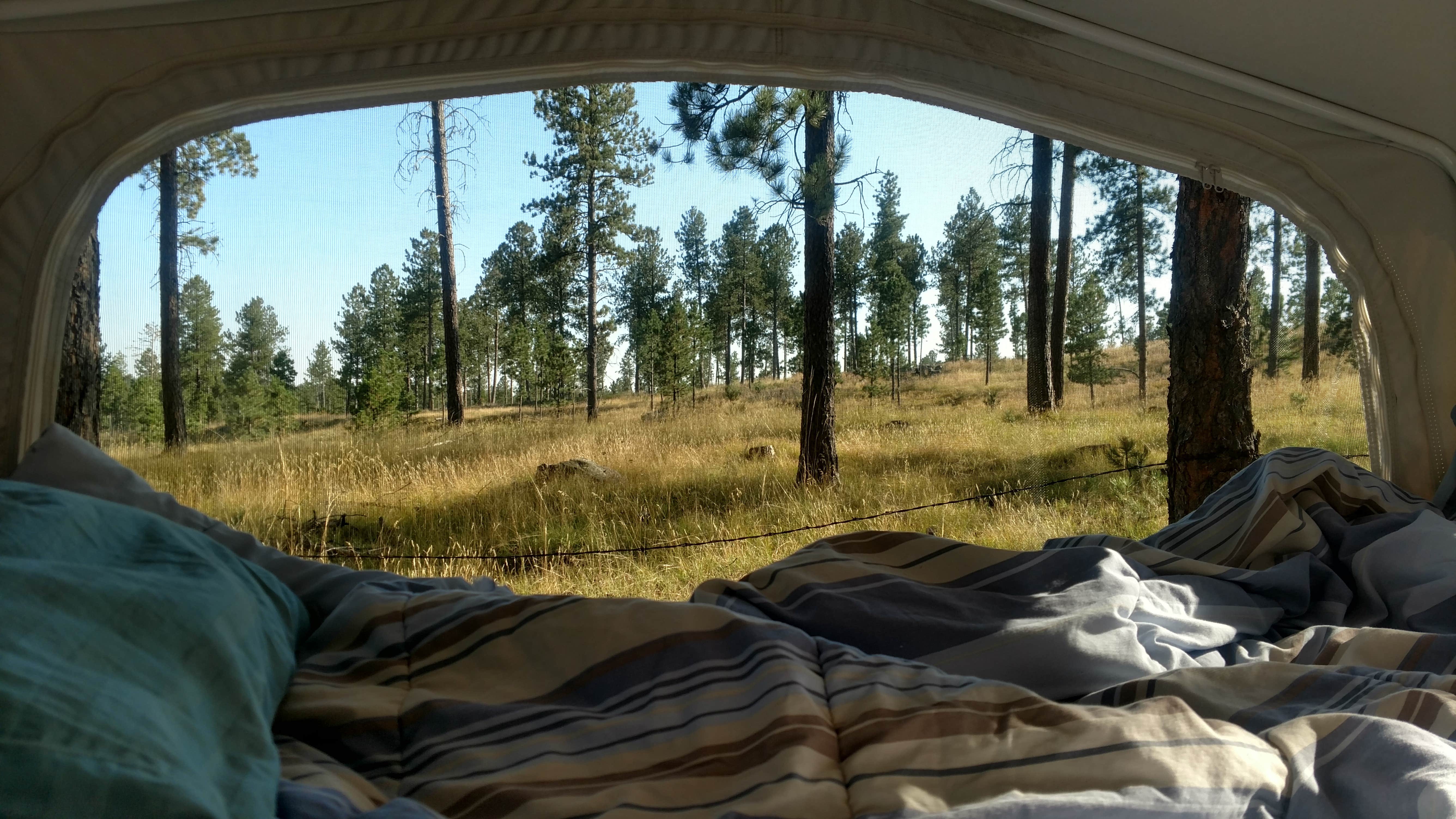 Camper submitted image from Big Pine Campground - 1