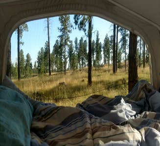 Camper-submitted photo from Sylvan Lake Campground — Custer State Park