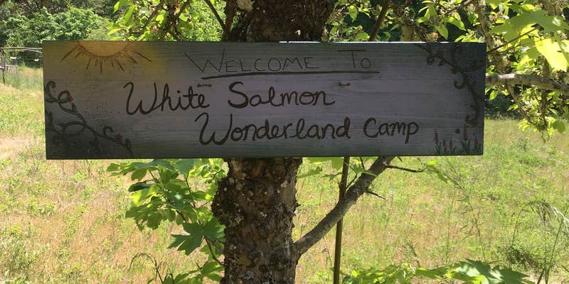 Camper submitted image from White Salmon Wonderland