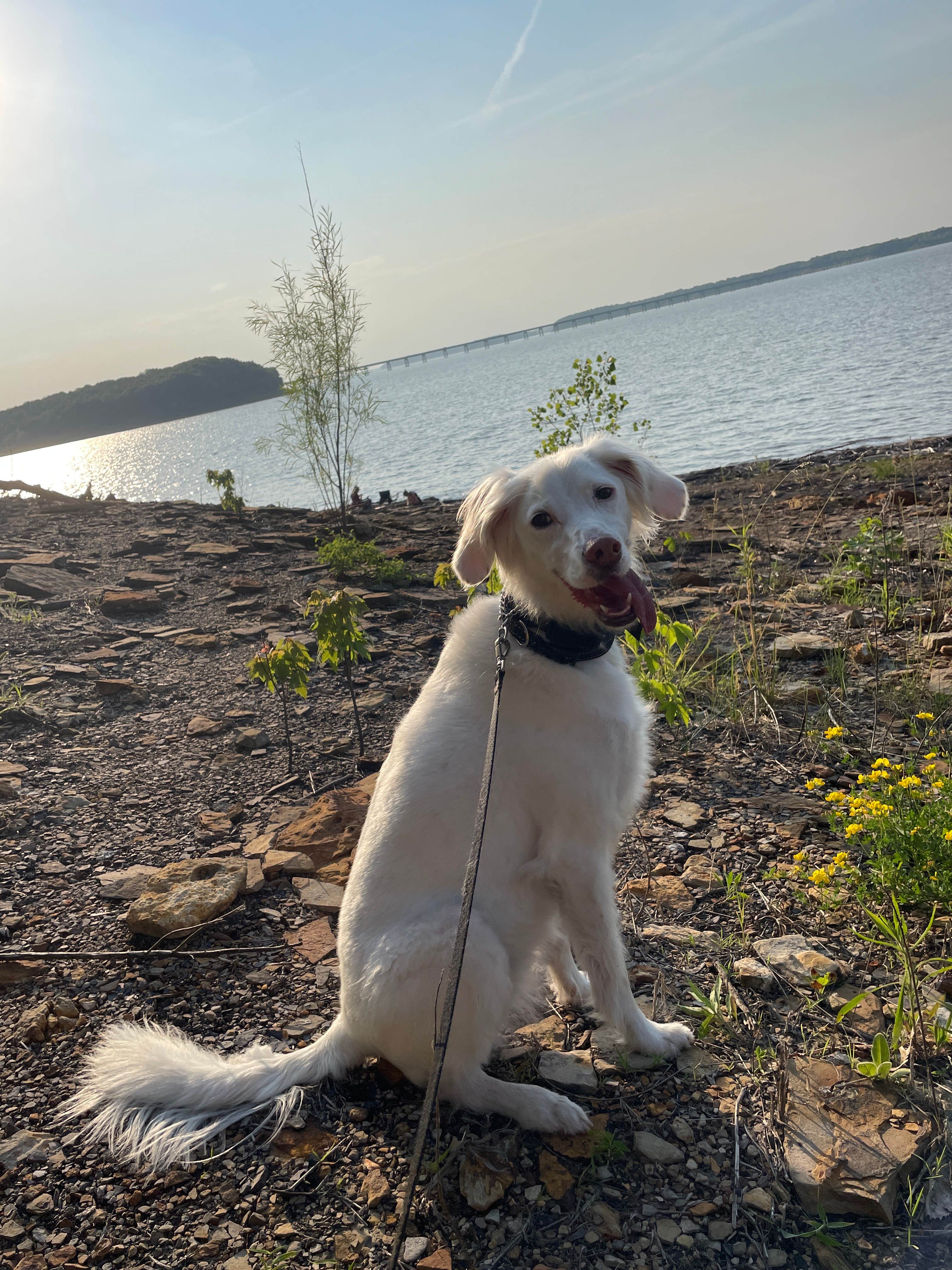 Camper submitted image from Elk Rock Campground And Boat Ramp — Lake Red Rock - 5