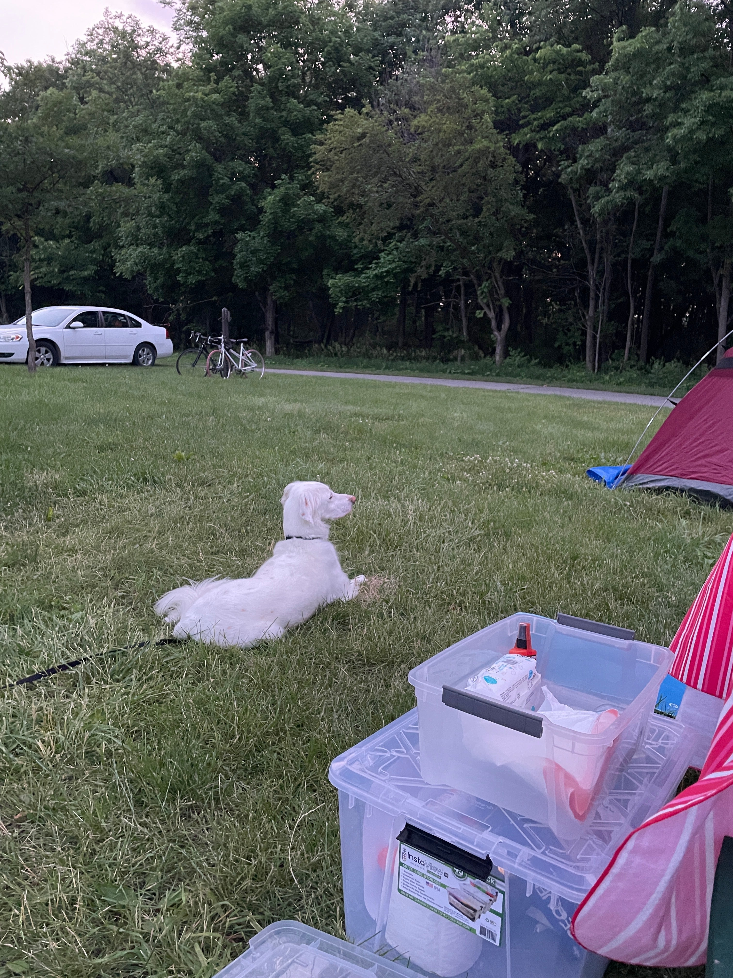 Camper submitted image from Modern Campground — Elk Rock State Park - 3