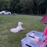 Review photo of Elk Rock Campground And Boat Ramp — Lake Red Rock by Meredith L., June 5, 2023