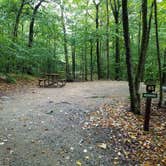 Review photo of Lafayette Place Campground — Franconia Notch State Park by Jean C., October 15, 2018