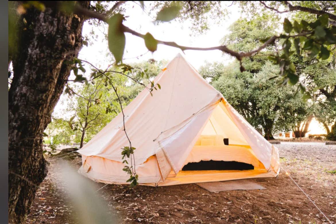 Camper submitted image from Camp & Glamp 🏕️Gold Dust Vineyard - 2