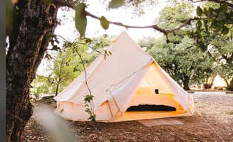 Amy K.'s photo at Camp & Glamp 🏕️Gold Dust Vineyard near Placerville, CA