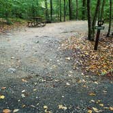 Review photo of Lafayette Place Campground — Franconia Notch State Park by Jean C., October 15, 2018