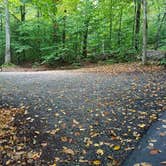 Review photo of Lafayette Place Campground — Franconia Notch State Park by Jean C., October 15, 2018