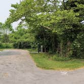 Review photo of Maumee Bay State Park Campground by Bryan  R., June 5, 2023