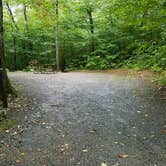 Review photo of Lafayette Place Campground — Franconia Notch State Park by Jean C., October 15, 2018