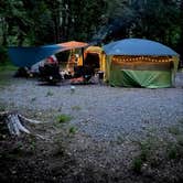 Review photo of Davidson River Campground by PCS S., June 5, 2023