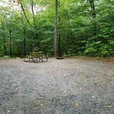 Review photo of Lafayette Place Campground — Franconia Notch State Park by Jean C., October 15, 2018