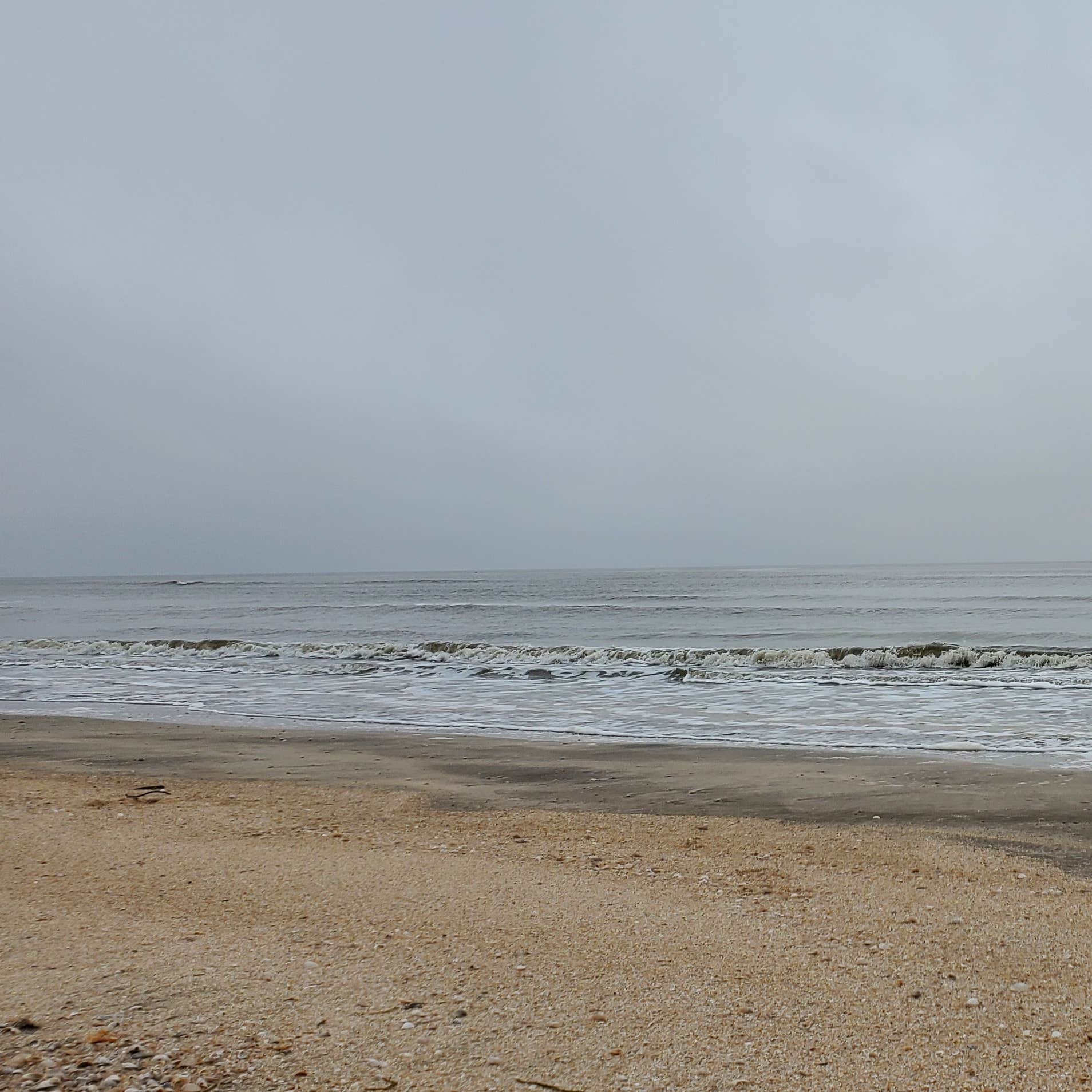 Rutherford Beach Camping The Dyrt