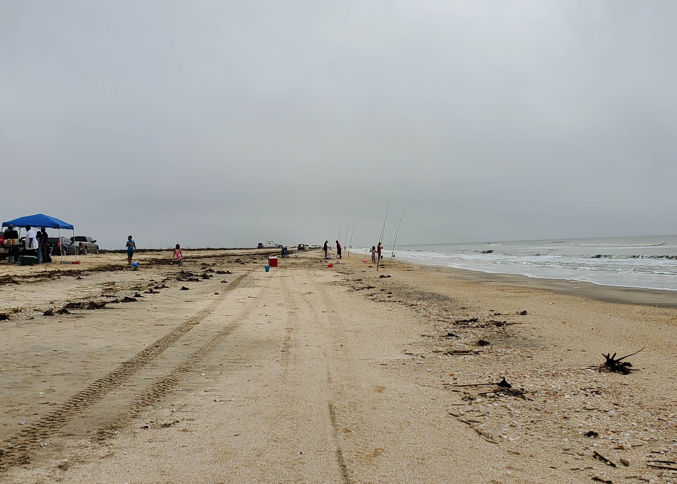 Rutherford Beach Camping The Dyrt