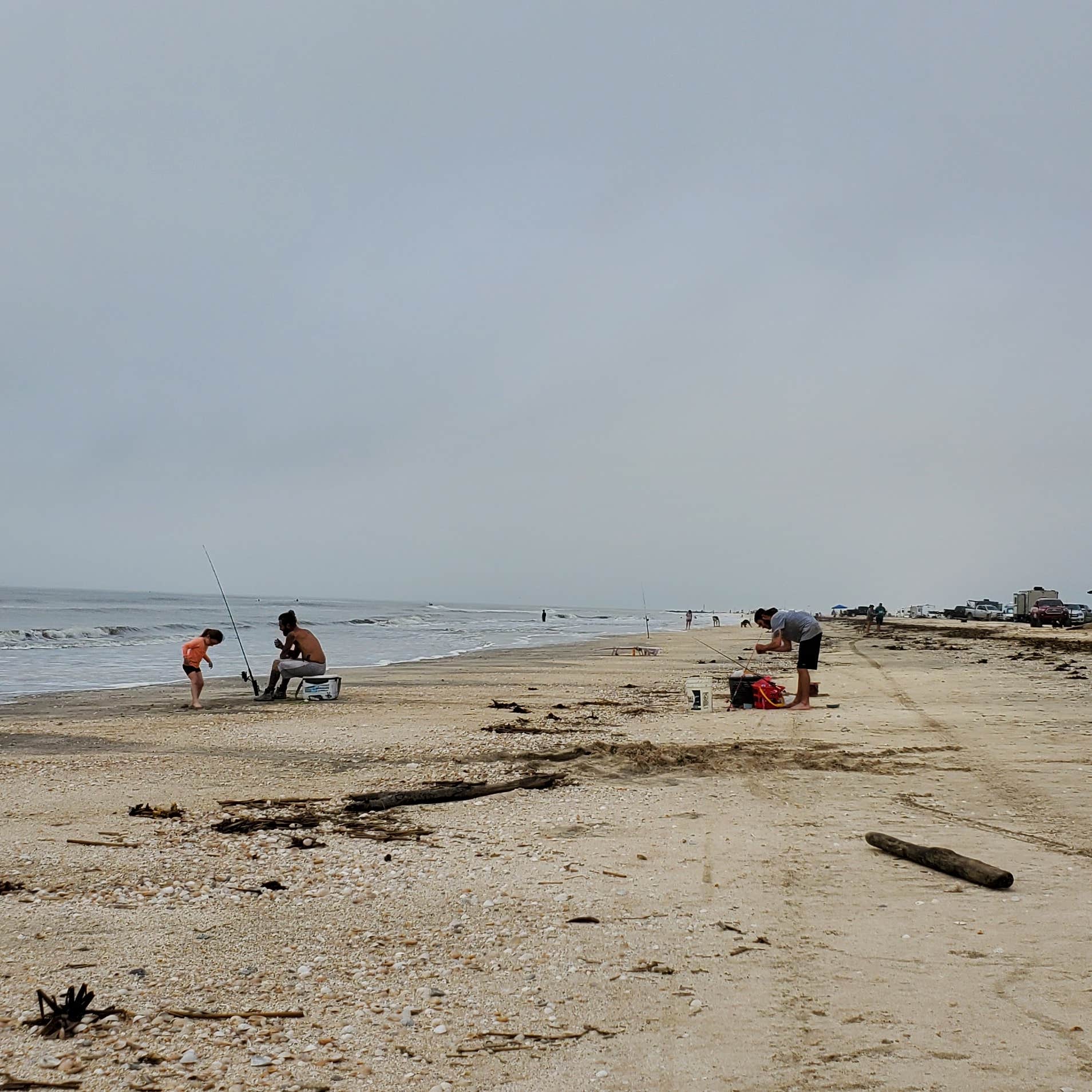 Rutherford Beach Camping The Dyrt