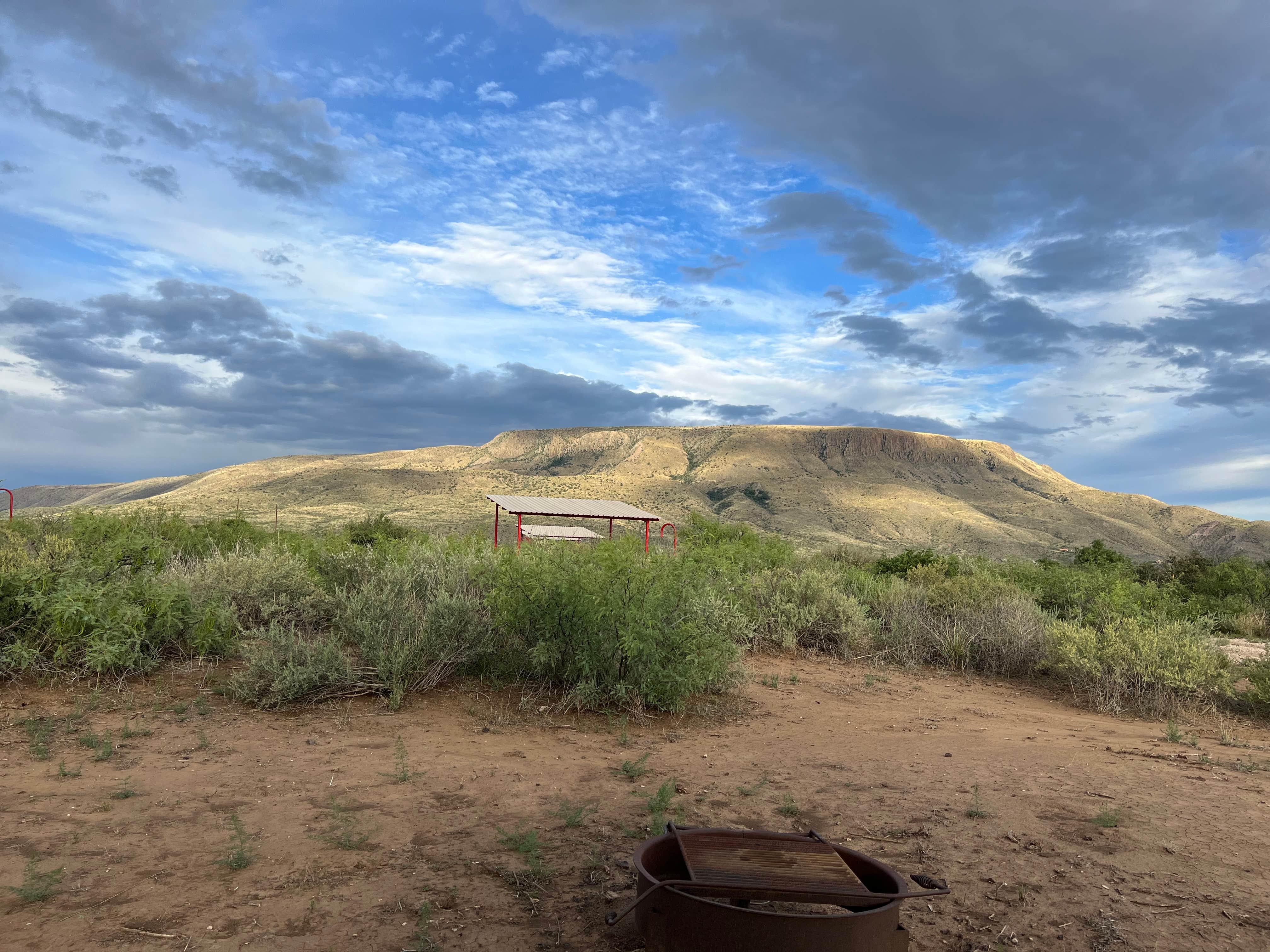Camper-submitted photo at Elephant mountain WMA near Alpine, TX