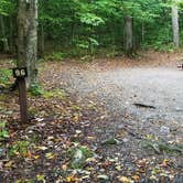 Review photo of Lafayette Place Campground — Franconia Notch State Park by Jean C., October 15, 2018