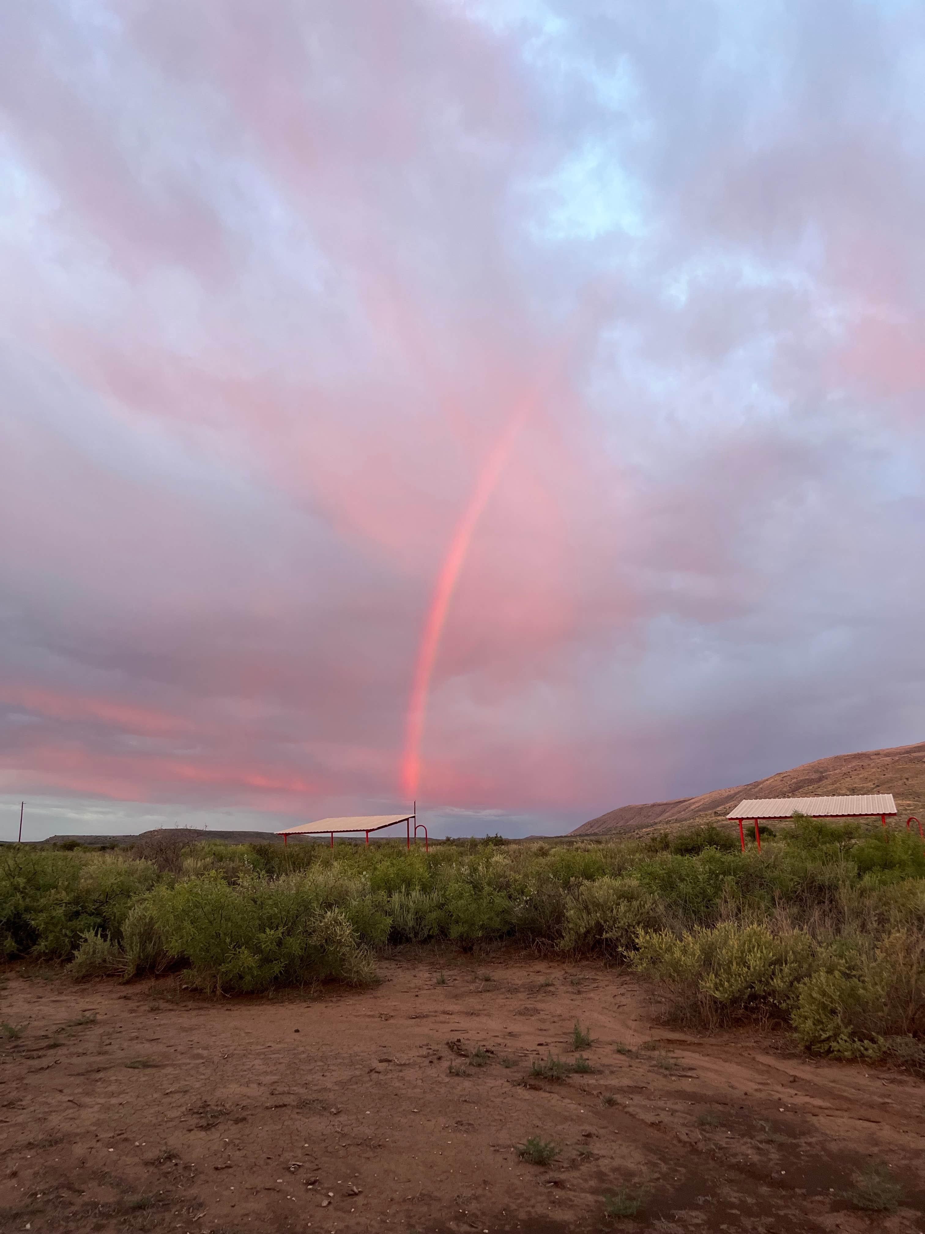 Richard T.'s photo of a dispersed camping area at Elephant mountain WMA near Alpine, TX