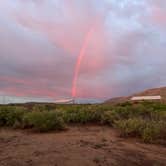 Review photo of Elephant mountain WMA by Richard T., June 5, 2023