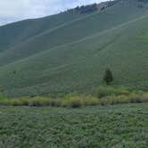 Review photo of Uncle Johns Gulch on Corral Creek Road by jsbeezg , June 5, 2023