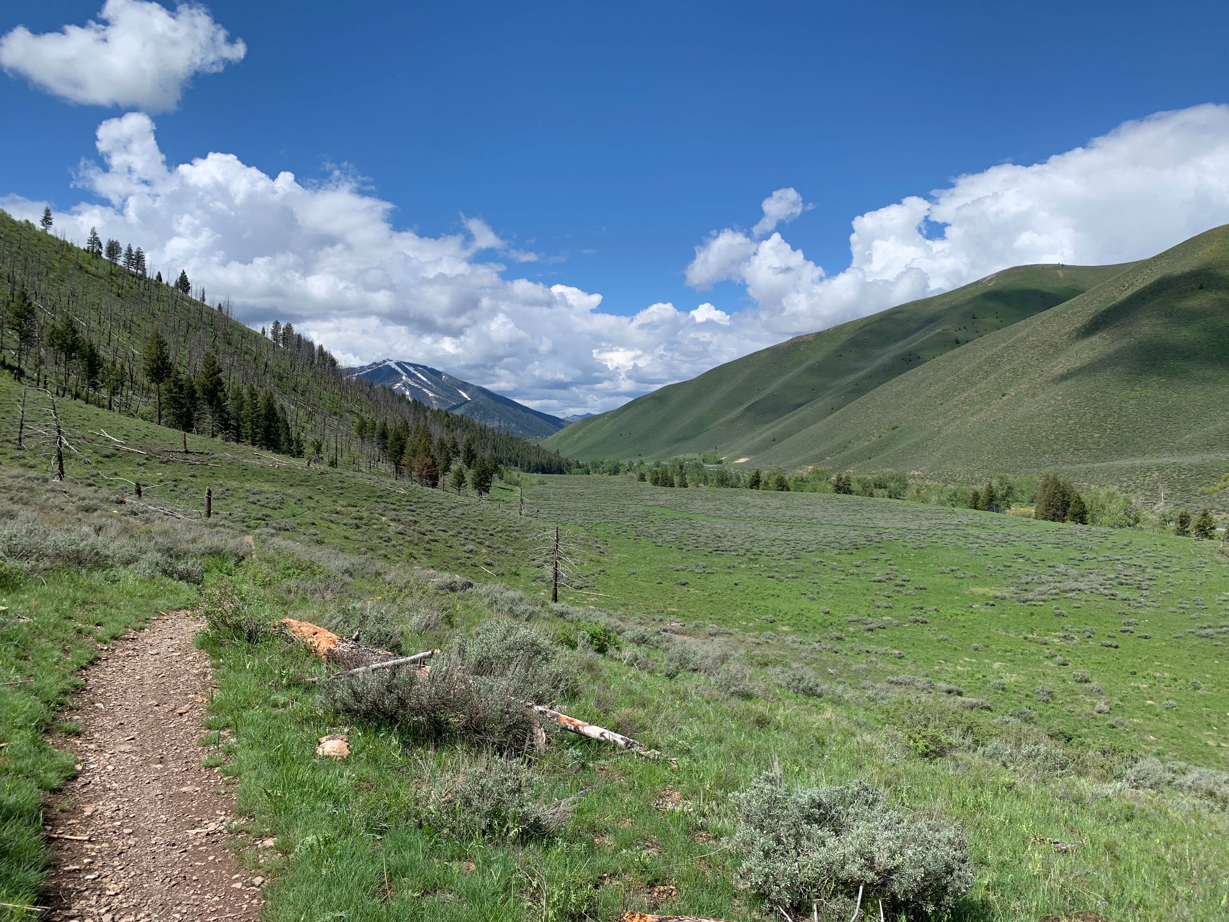 Camper-submitted photo at Uncle Johns Gulch on Corral Creek Road near Sun Valley, ID
