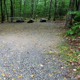 Review photo of Lafayette Place Campground — Franconia Notch State Park by Jean C., October 15, 2018