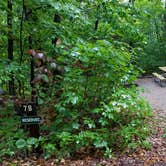 Review photo of Lafayette Place Campground — Franconia Notch State Park by Jean C., October 15, 2018