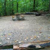 Review photo of Lafayette Place Campground — Franconia Notch State Park by Jean C., October 15, 2018