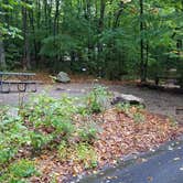 Review photo of Lafayette Place Campground — Franconia Notch State Park by Jean C., October 15, 2018