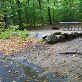 Review photo of Lafayette Place Campground — Franconia Notch State Park by Jean C., October 15, 2018