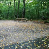 Review photo of Lafayette Place Campground — Franconia Notch State Park by Jean C., October 15, 2018