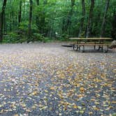 Review photo of Lafayette Place Campground — Franconia Notch State Park by Jean C., October 15, 2018