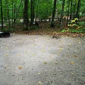 Review photo of Lafayette Place Campground — Franconia Notch State Park by Jean C., October 15, 2018