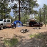 Review photo of Pumphouse Wash (FR 237) Dispersed Camping Area by Amanda H., June 6, 2023