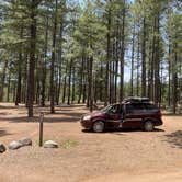 Review photo of Pumphouse Wash (FR 237) Dispersed Camping Area by Amanda H., June 6, 2023