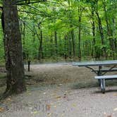 Review photo of Lafayette Place Campground — Franconia Notch State Park by Jean C., October 15, 2018