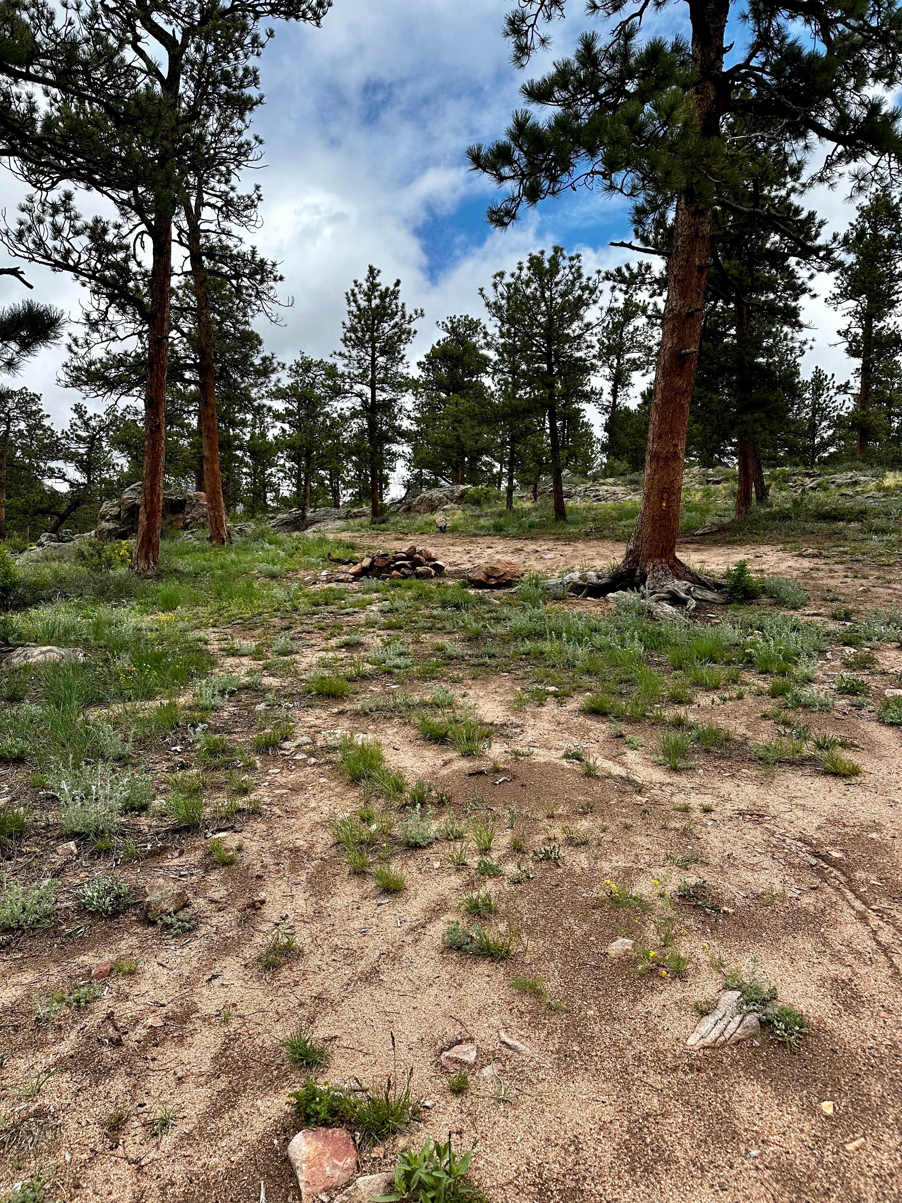 Camper-submitted photo at Elkhorn Creek Dispersed Camping near Livermore, CO