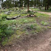 Review photo of Elkhorn Creek Dispersed Camping by Kevin R., June 6, 2023